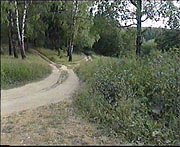 В деревне -- Лесная дорога (Village -- The forest road)